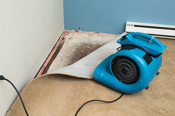 Carpet water damage restoration in ME